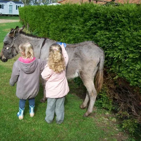 Confort A La Ferme, 10km De Wimereux, 4 Ch., Jardin, Terrasse, Parking, Animaux Acceptes, Wifi - Fr-1-376-82 Дом отдыха