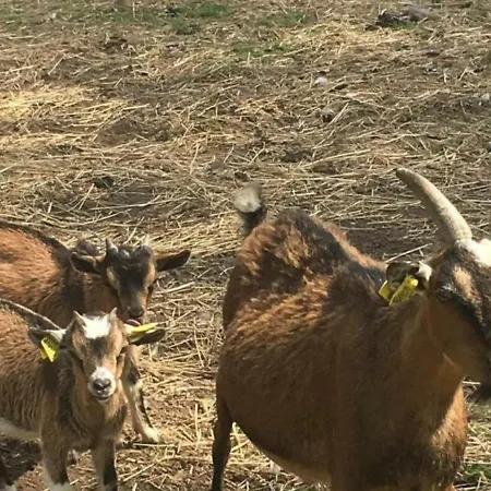 Сasa de vacaciones Confort à La Ferme, 10km De Wimereux, 4 Ch., Jardin, Terrasse, Parking, Animaux Acceptés, Wifi - Fr-1-376-82 *