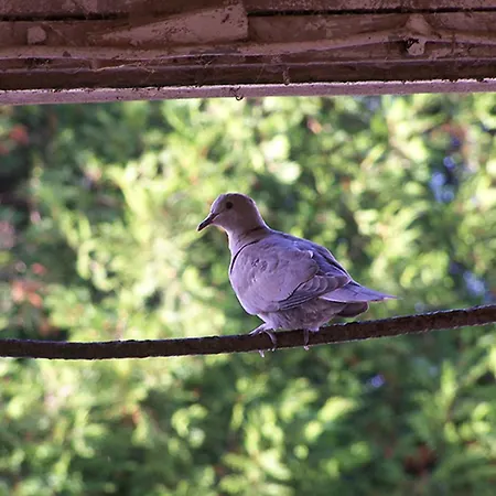 Confort A La Ferme, 10km De Wimereux, 4 Ch., Jardin, Terrasse, Parking, Animaux Acceptes, Wifi - Fr-1-376-82 * Belle-et-Houllefort